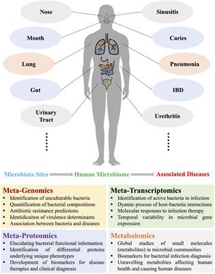 Metaomics in Clinical Laboratory: Potential Driving Force for Innovative Disease Diagnosis